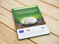 Zasady procesu produkcyjnego i higieny w zatwierdzonej urzędowo serowarni farmerskiej i rzemieślniczej
