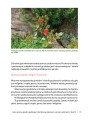 Tradycyjny ogród ekologiczny - TOM 2: 250 ekopreparatów na szkodniki i choroby