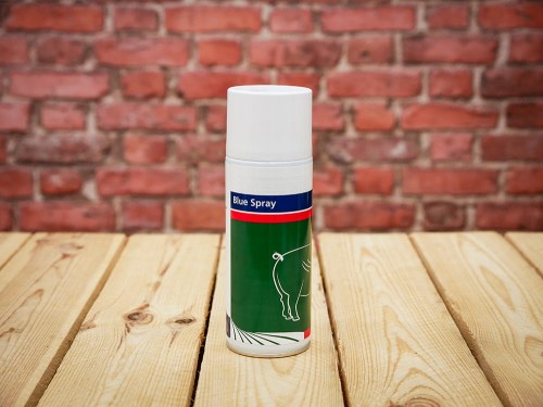 Spray antyinfekcyjny BlueSpray 400ml