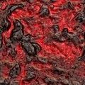 Borówka (jagoda) - wsad owocowy, 3 kg