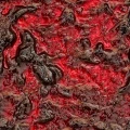 Borówka (jagoda) - wsad owocowy BIO, ekologiczny, 3 kg